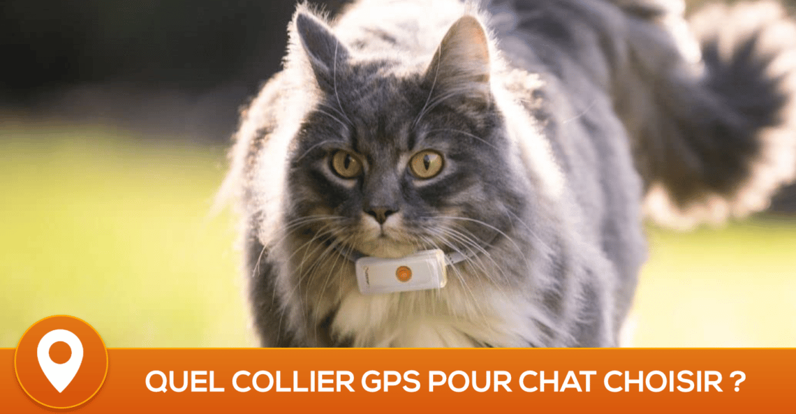 meilleur collier GPS chat
